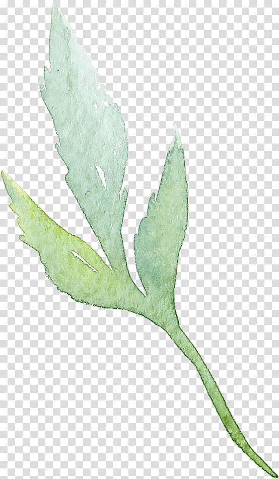green leaf illustration, Leaf Watercolor: Flowers Watercolour Flowers Watercolor painting, Watercolor Retro Green Leaves transparent background PNG clipart