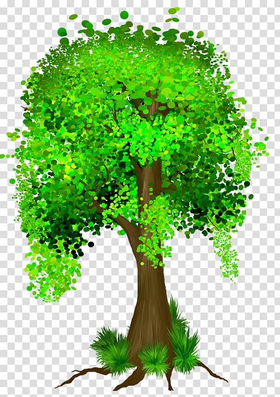 Guiana Chestnut Tree Money Branch Bank, tree transparent background PNG clipart