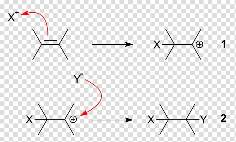 Electrophilic addition Electrophile Addition reaction Markovnikov\'s rule Double bond, others transparent background PNG clipart