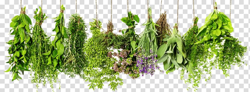 Herb Mediterranean cuisine , others transparent background PNG clipart