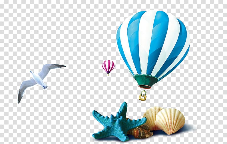Seashell , Conch shells balloon seagull transparent background PNG clipart