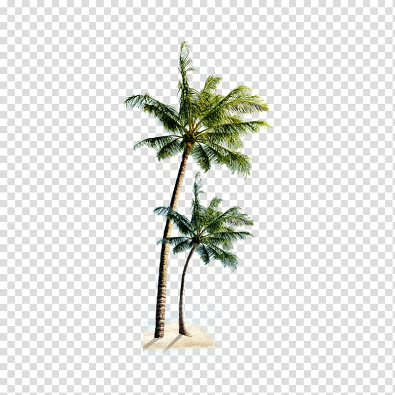 two coconut tree illustration, Playa Verde Beach Villa Praia do Coqueiro, Beach coconut tree transparent background PNG clipart