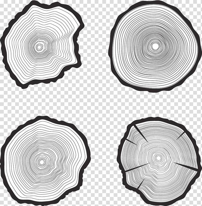 four white wood slabs, Tree Trunk Aastarxf5ngad , Black and white tree rings transparent background PNG clipart