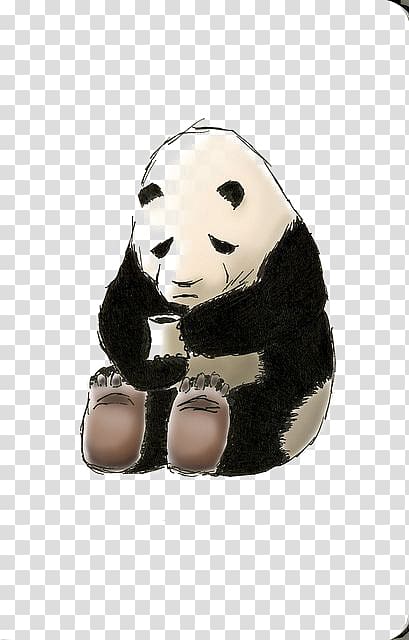 Giant panda Asian black bear United States T-shirt, Drawing Panda transparent background PNG clipart