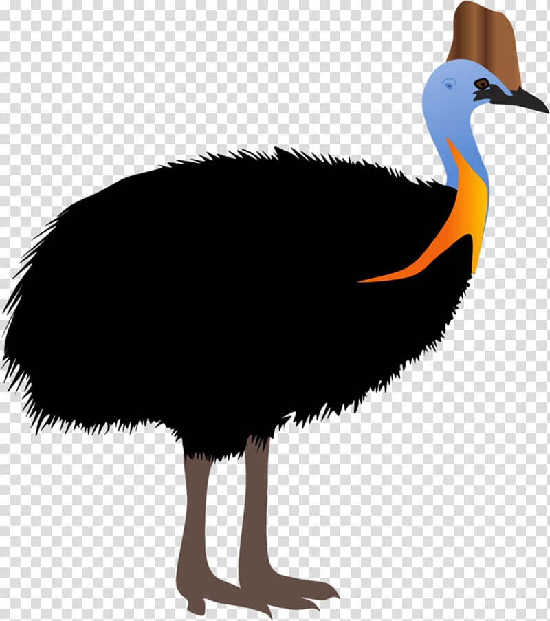 Common ostrich Bird Southern cassowary Weltvogelpark Walsrode Northern cassowary, Bird transparent background PNG clipart