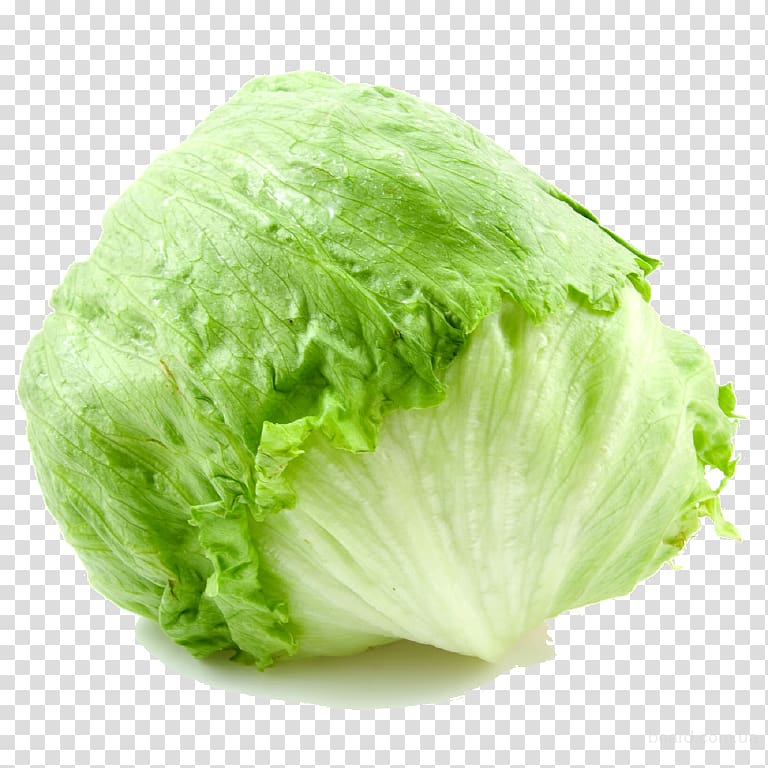 Vegetable Iceberg lettuce Vegetarian cuisine Butterhead lettuce Salad, vegetable transparent background PNG clipart