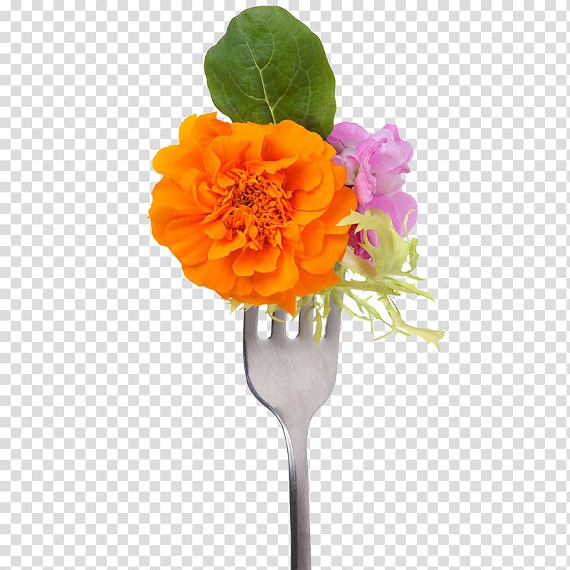 Edible flower Shoot Salad, Flowers on a fork transparent background PNG clipart