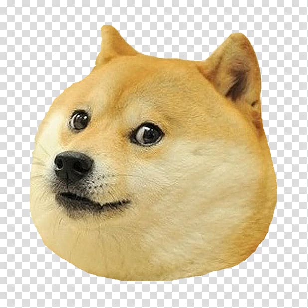 Shiba Inu Doge Puppy Siberian Husky Meme, puppy transparent background PNG clipart