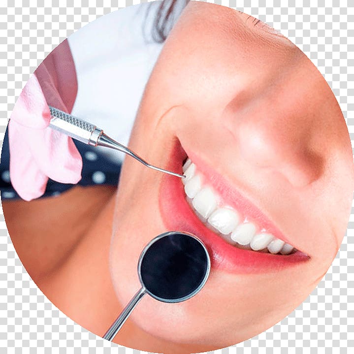 Munilla Pediatric dentistry AGM Dentista, DIENTE transparent background PNG clipart