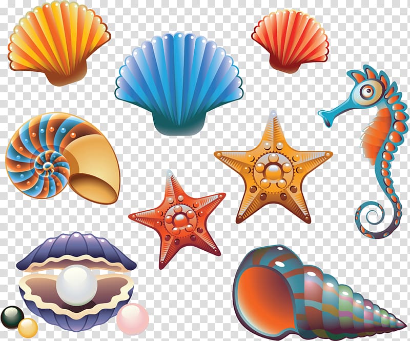 Seashell , crab transparent background PNG clipart