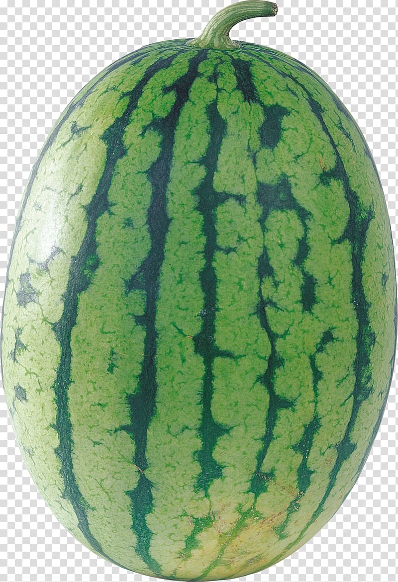 Cantaloupe Watermelon Citrullus lanatus, watermelon transparent background PNG clipart
