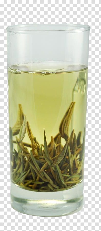 White tea Baihao Yinzhen Fuding Pu\'er City, tea transparent background PNG clipart