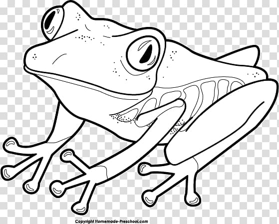 tree frog clipart black and white