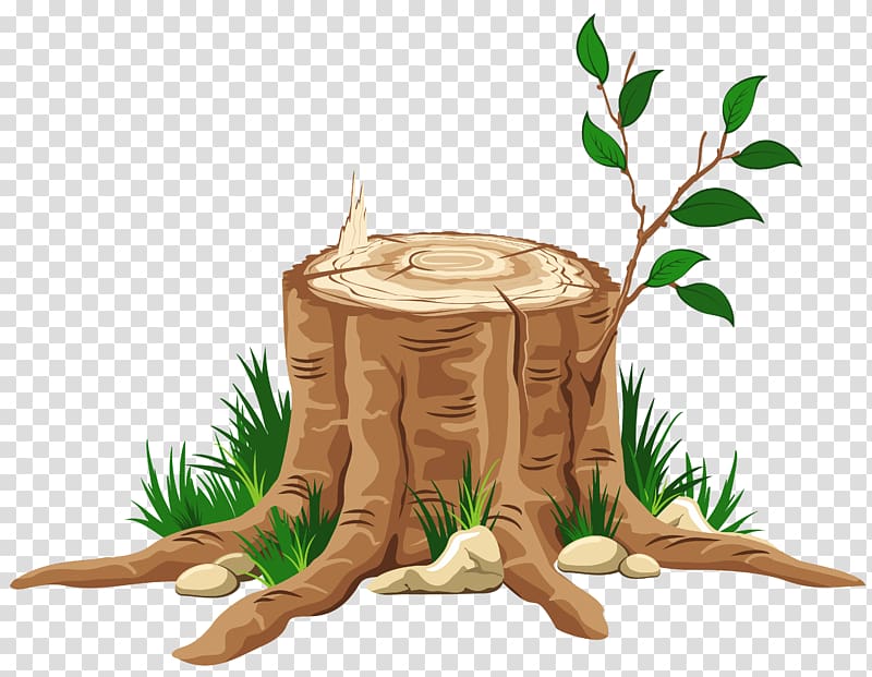 tree trunk cut down, Bible Tree of Jesse Advent Daily devotional, Tree Stump transparent background PNG clipart