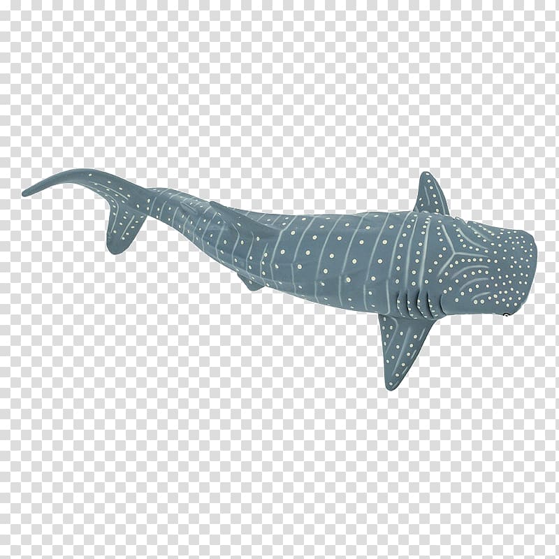 Squaliform sharks Safari Ltd Whale shark Animal figurine Requiem sharks, basking shark toy transparent background PNG clipart