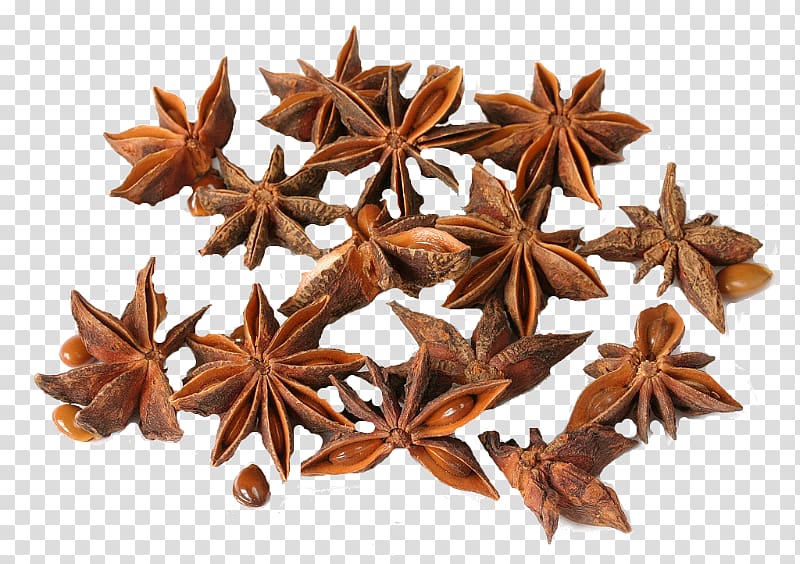 Star anise Spice Tarragon Oil, Greas transparent background PNG clipart