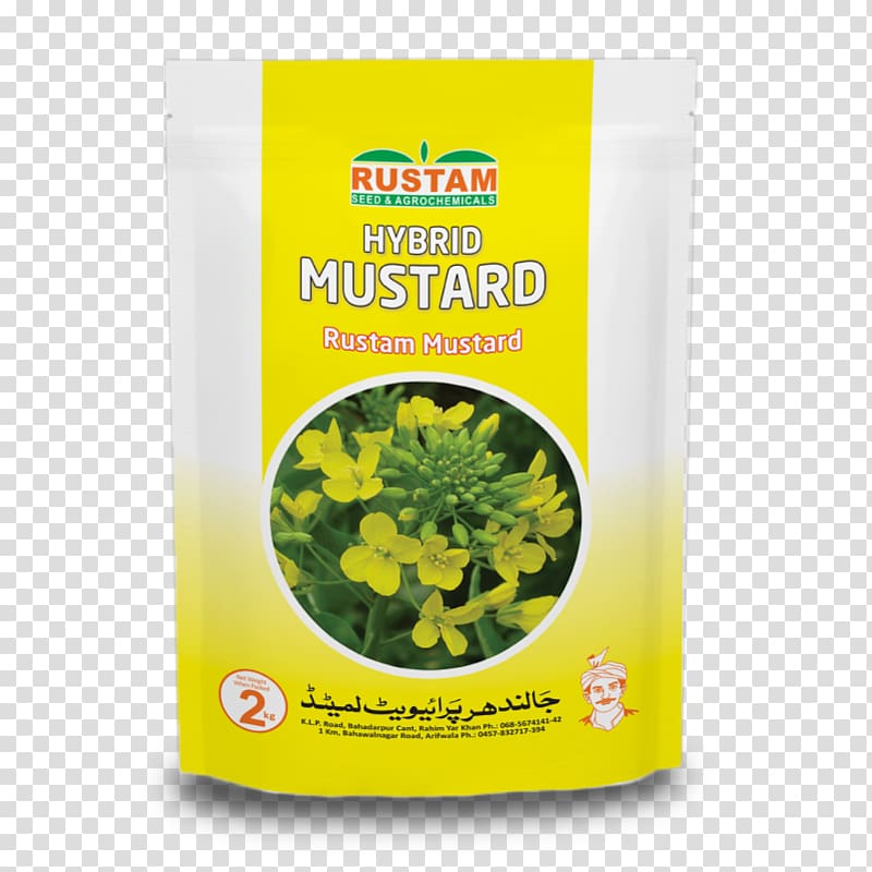 Jalandhar Mustard plant Leaf vegetable Mustard seed, Mustard Oil transparent background PNG clipart