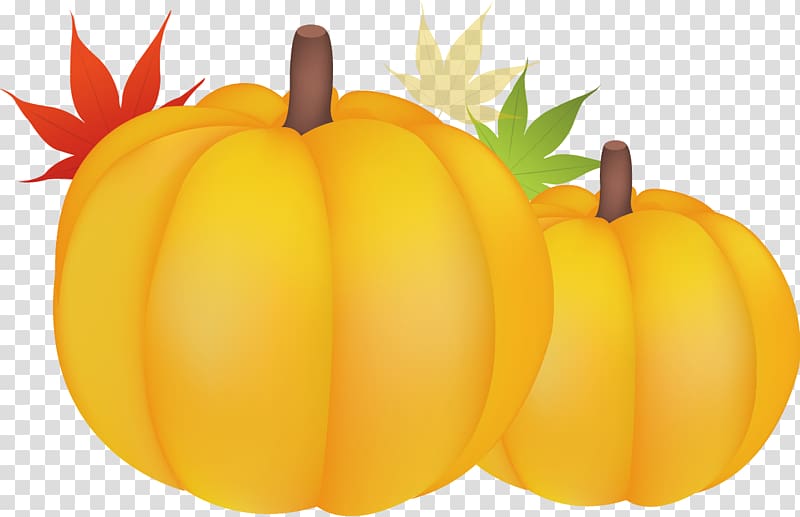 Great Pumpkin Calabaza Gourd Winter squash, Autumn Life Icon transparent background PNG clipart