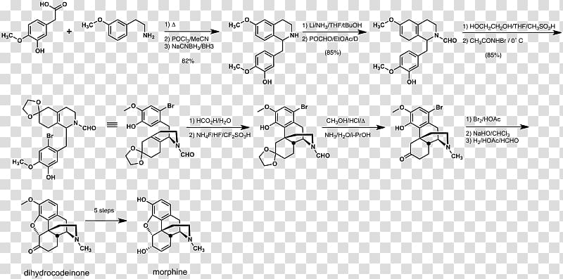Document Total synthesis of morphine and related alkaloids Wikipedia, others transparent background PNG clipart