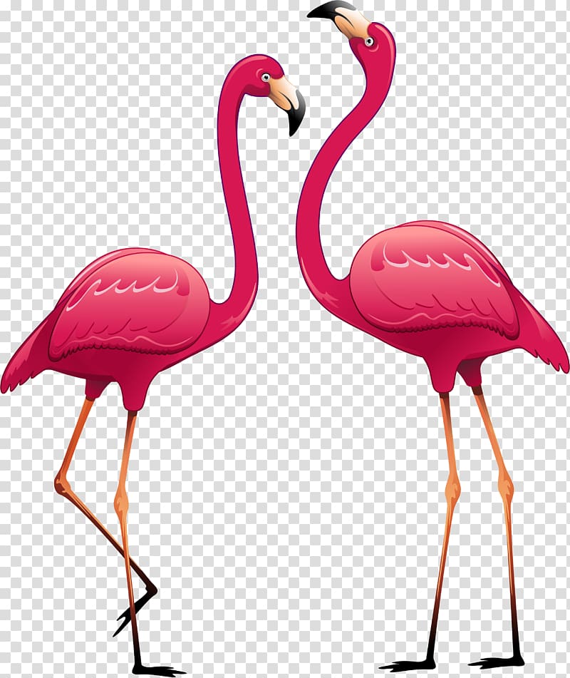 two pink flamingos illustration, Paper Wall decal Sticker Polyvinyl chloride, flamingo transparent background PNG clipart