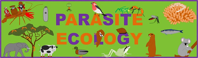 Ecosystem Ecology Interaction Parasitism , Species Interaction transparent background PNG clipart