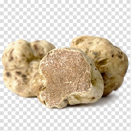 Alba Piedmont white truffle Truffle oil Italian cuisine, mushroom transparent background PNG clipart