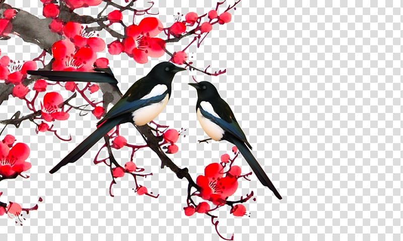 Eurasian Magpie, Plum branches magpie transparent background PNG clipart
