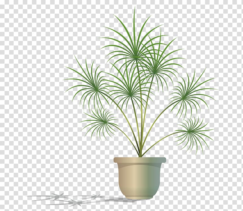 green potted plant transparent background PNG clipart
