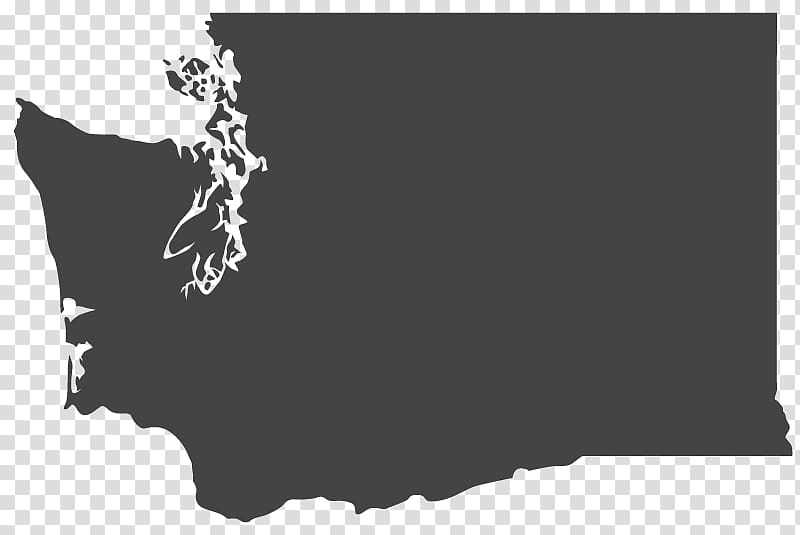 Flag of Washington Map EverStar Realty Flag of Belgium, state power transparent background PNG clipart