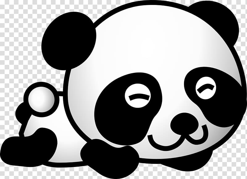 panda , Giant panda Red panda Bear Baby Pandas , panda transparent background PNG clipart