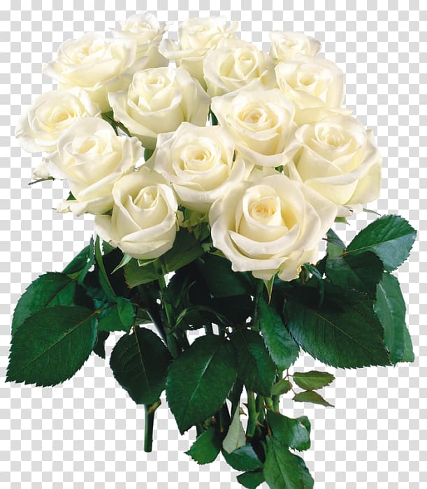 Birthday Букет з білих троянд Flower bouquet Holiday Garden roses, Birthday transparent background PNG clipart