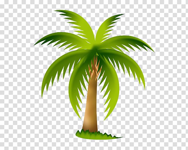 Arecaceae Tree , overlooking the coconut tree transparent background PNG clipart