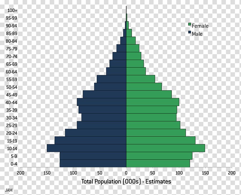 Population pyramid World population Human overpopulation, pyramid transparent background PNG clipart