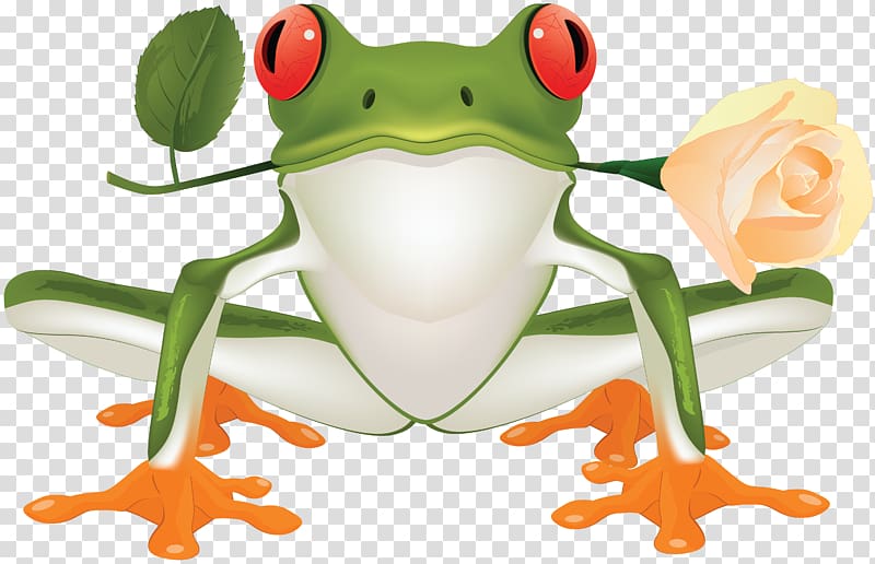 Frog transparent background PNG clipart