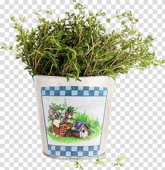 Pianta aromatica Herb Plant Thymes Grass, aromatic transparent background PNG clipart