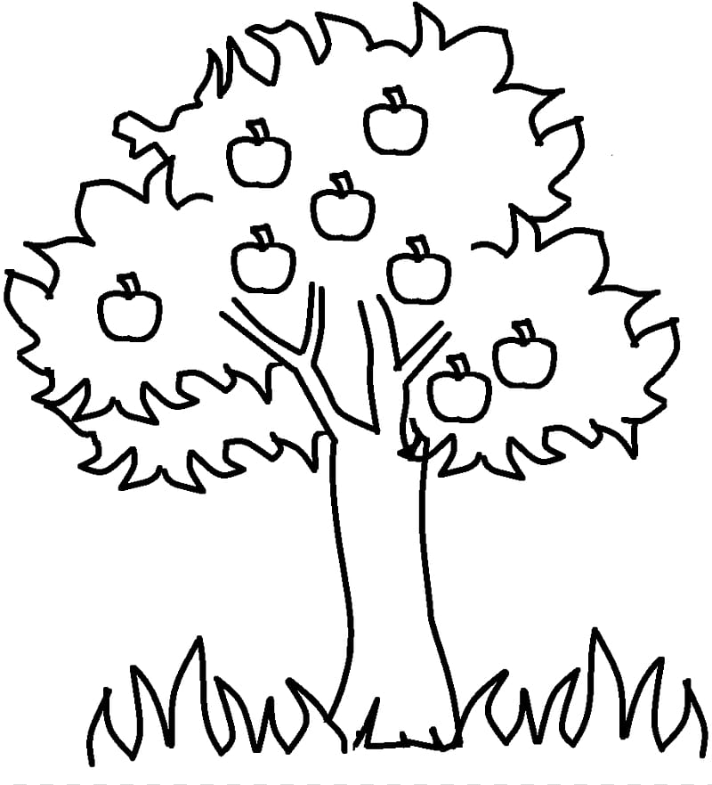 Coloring book Tree Child Trunk Adult, Printable Of Trees transparent background PNG clipart