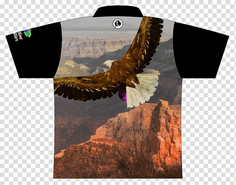 Grand Canyon Village Zion National Park Yosemite National Park Bald Eagle, staff transparent background PNG clipart