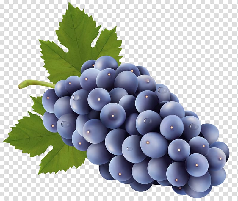 purple grape fruit illustration, Sultana Grape , Grapes Free transparent background PNG clipart