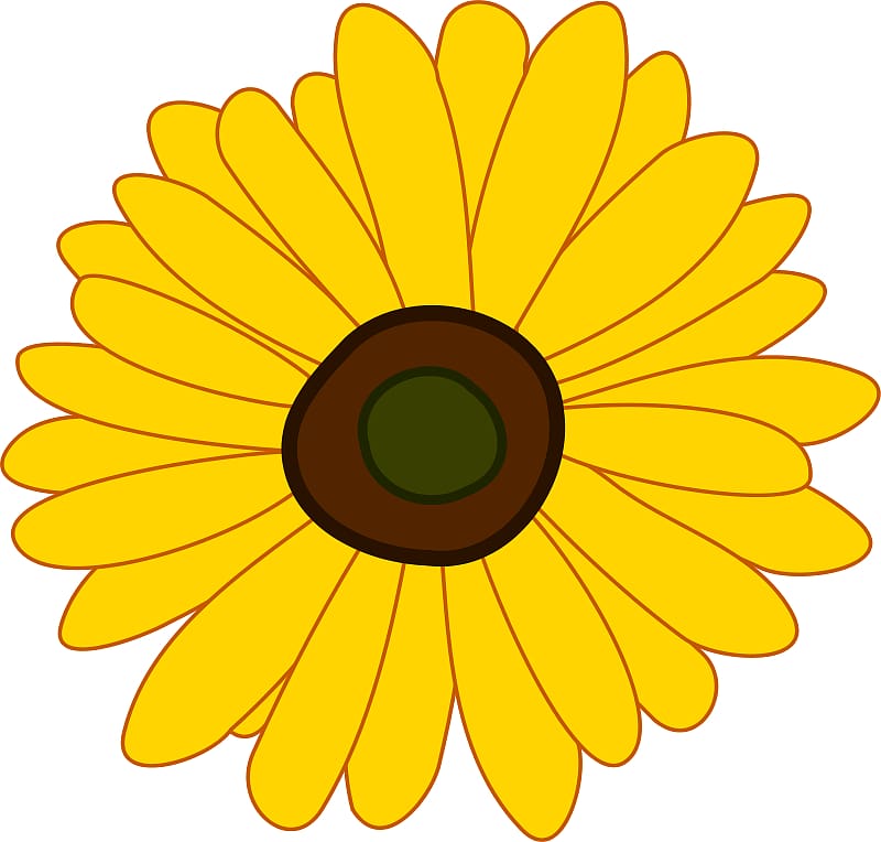 Common sunflower , Flower transparent background PNG clipart