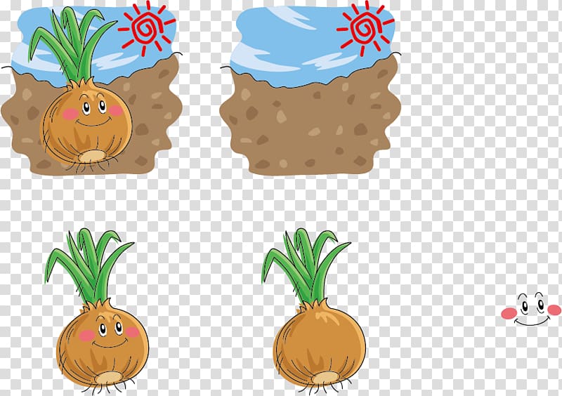 Onion Chowder Vegetable Illustration, Ground onion expression transparent background PNG clipart