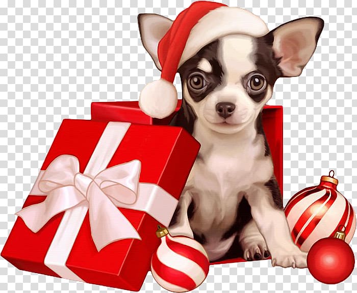 Chihuahua Puppy Pug Dog breed Companion dog, puppy transparent background PNG clipart