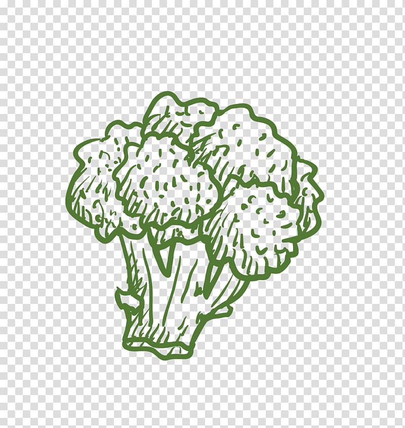 Broccoli Cauliflower Vegetable Computer file, broccoli transparent background PNG clipart