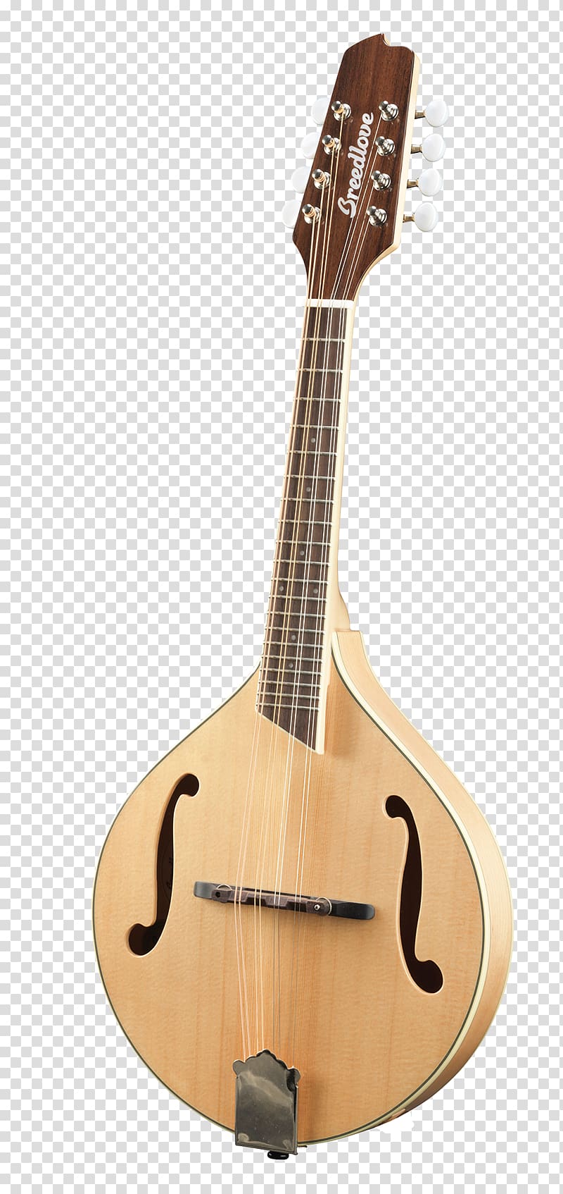 Tiple Mandolin Acoustic guitar Cuatro Cavaquinho, Acoustic Guitar transparent background PNG clipart