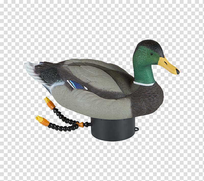 Duck decoy Mallard Goose Duck decoy, duck transparent background PNG clipart