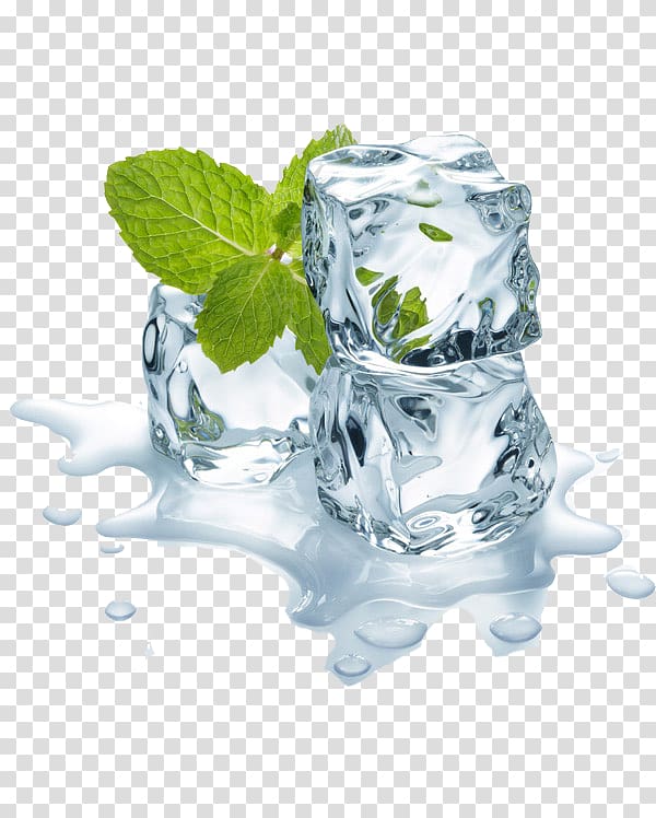 ice cubes and mint leaves transparent background PNG clipart