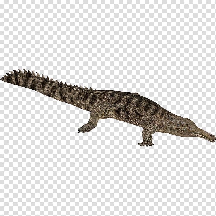 Crocodile False gharial Alligator Gavialidae, chameleon transparent background PNG clipart
