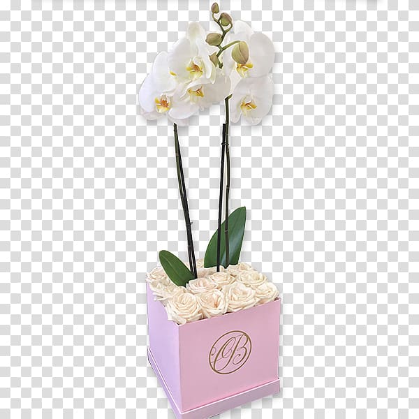 Floral design Moth orchids Rose Cut flowers, rose transparent background PNG clipart