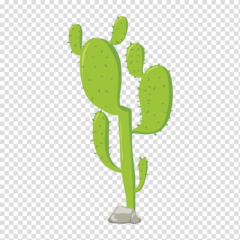 Cactaceae Euclidean , cactus transparent background PNG clipart