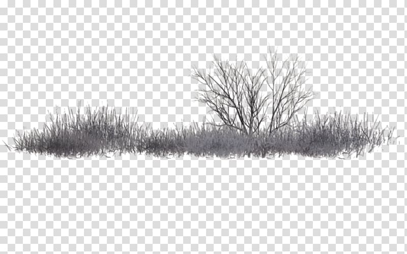 Black and white PicsArt Studio Tree, vegetation transparent background PNG clipart