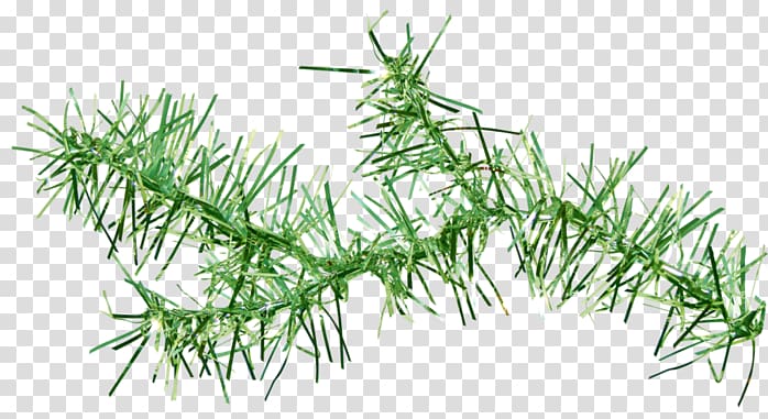 Vegetation Green Portable Network Graphics Plants , greeting elements transparent background PNG clipart